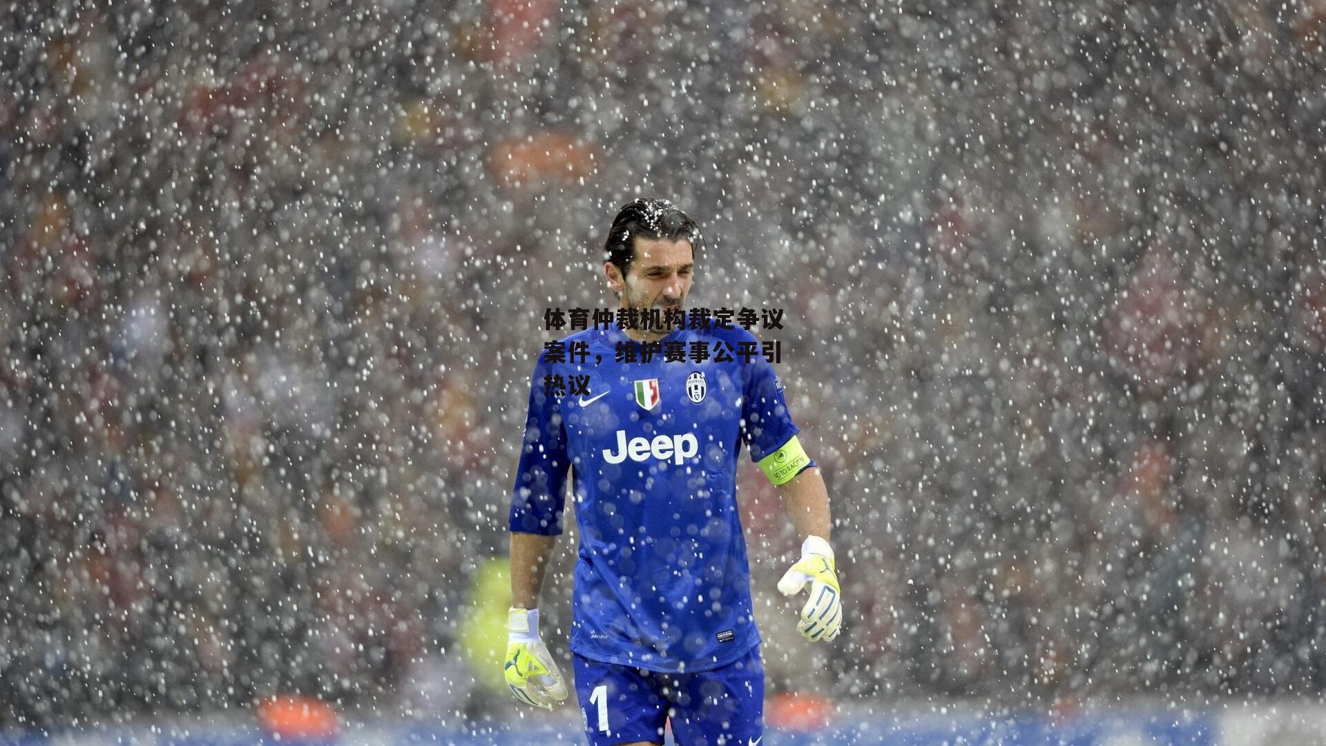 米兰体育官网：体育仲裁机构裁定争议案件，维护赛事公平引热议